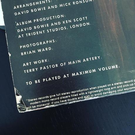 Loving the Alien Loving the Alien