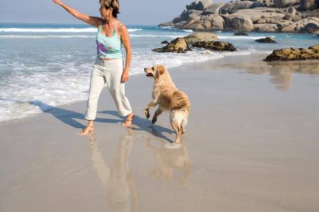 Adoptar perros en verano para evitar que las protectoras colapsen