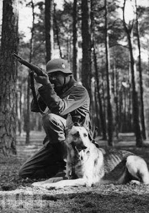 Perros: héroes de la Segunda Guerra Mundial