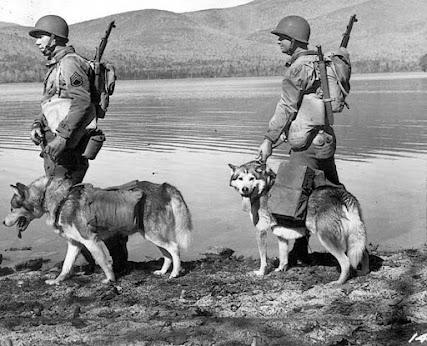 Perros: héroes de la Segunda Guerra Mundial