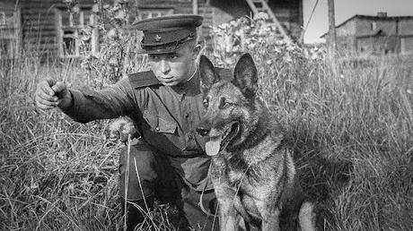 Perros: héroes de la Segunda Guerra Mundial