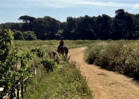 DOS FAMILIAS, UN MUSEO Y LA MONROE EN SANT CUGAT