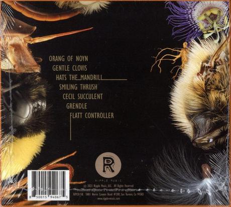 Boss Keloid - Family The Smiling Thrush (2021) Boss Keloid - Family The Smiling Thrush (2021)