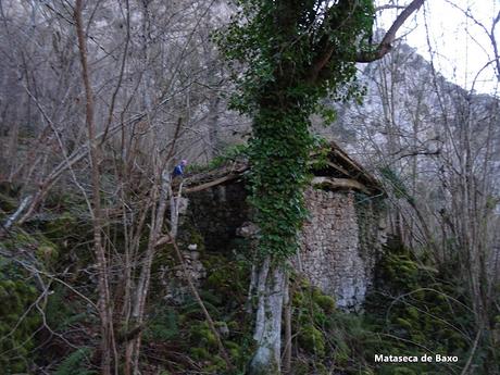 Las Agüeras-Villaorille/Viḷḷuriche-La Cueva la Canal-Picu Mayor-La Furacá