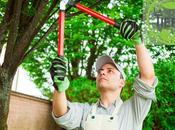 ¿Cuándo podar árboles hoja perenne?, TIERRA JARDINERÍA