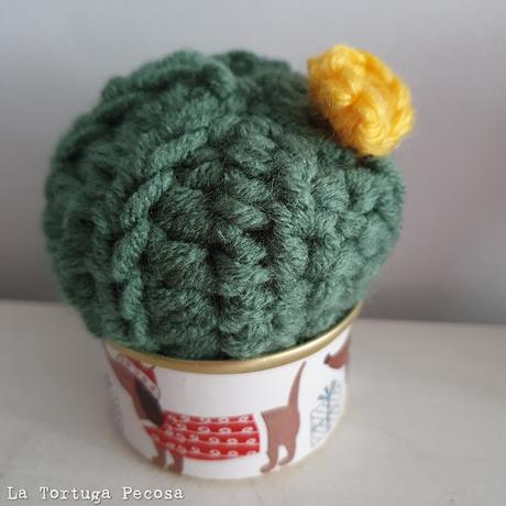 CACTUS THIRTY-EIGHT CACTUS THIRTY-EIGHT