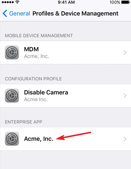 Cómo confiar en una aplicación en el iPhone Cómo confiar en una aplicación en el iPhone