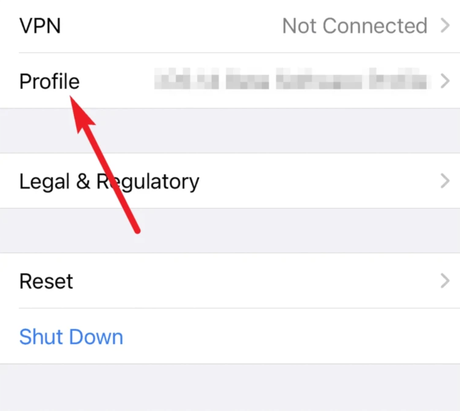 Cómo confiar en una aplicación en el iPhone Cómo confiar en una aplicación en el iPhone