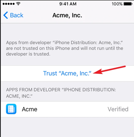 Cómo confiar en una aplicación en el iPhone Cómo confiar en una aplicación en el iPhone