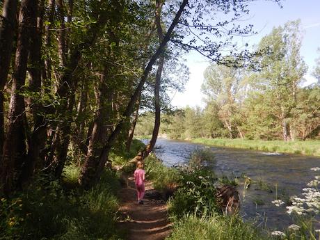 Camí del Segre