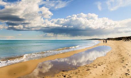 El clima en Elche, características del tiempo en todo el año El clima en Elche, características del tiempo en todo el año