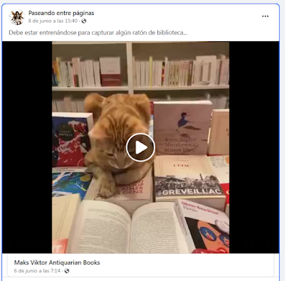 Visto en las redes 48#