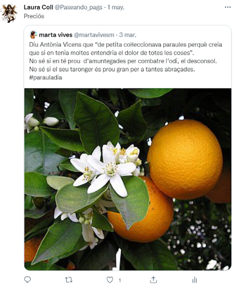 Visto en las redes 48#