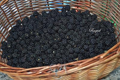 Mermelada de Arándanos