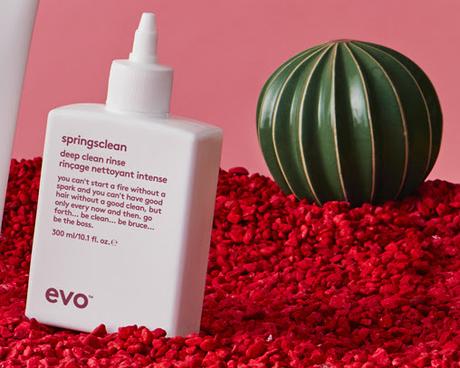 evo-springclean