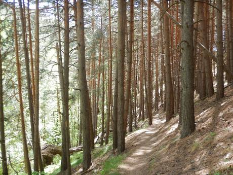 Sendero a la Font del Ferro