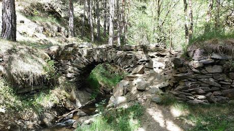 Pont del Carrasut