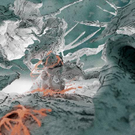 Plesiosaurio - Archipiélago (2022)