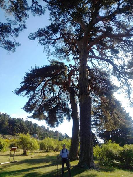 CERRO DE LOS ÁLAMOS BLANCOS