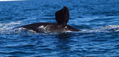 ¿Adónde ir en vacaciones de invierno?