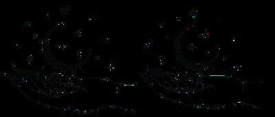 Reseña|| Segunda Chance- Patricia Suárez