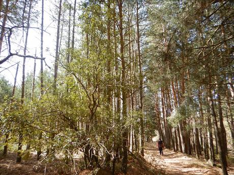 De Prades al Tossal de la Baltasana | Baix Camp