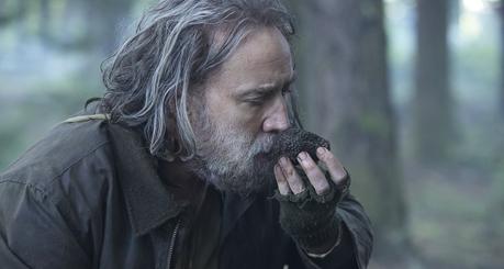 Pig – No sin mi cerda Pig – No sin mi cerda