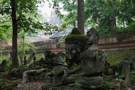 jardin de budas templo en chiang mai