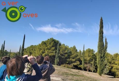 Aver Aves es ciencia ciudadana