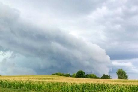 SBA Loans Available in Minnesota for Nonprofits Affected by Recent Bad Weather SBA Loans Available in Minnesota for Nonprofits Affected by Recent Bad Weather