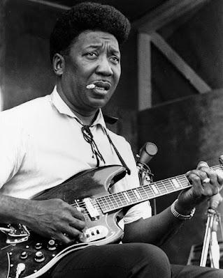 Muddy Waters -  I'll put a tiger in your tank (Live at Newport) (1060)