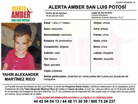 Alerta Amber: Yahir Alexander Martínez Rico fue vista por última vez en Soledad