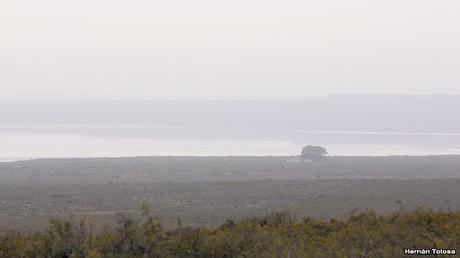 Península Valdés (diciembre 2020) 2° parte