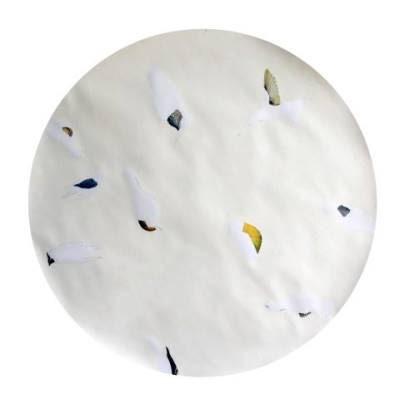 María Teresa González Reinvenciones-de-la-naturaleza