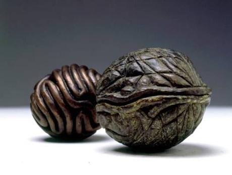 José Antonio Fernández Reinvenciones-de-la-naturaleza