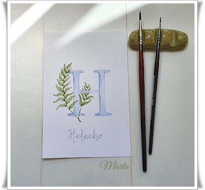 ABECEDARIO BOTÁNICO EN ACUARELA (2)