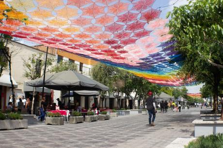 Un pedazito de Etzatlán en Zapopan