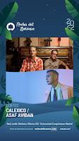 Concierto de Asaf Avidan y Calexico en las Noches del Botánico