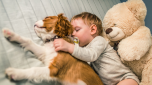¿Es bueno dormir con tu mascota en la cama? beneficios-de-dormir-con-tu-mascota