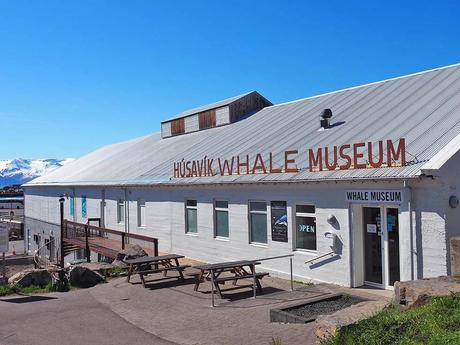 museo ballenas husavik
