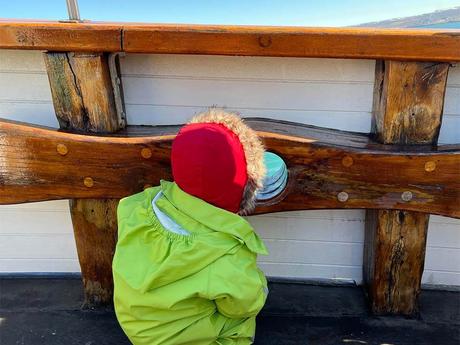 islandia con ninos: excursion ballenas