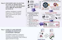El COVID prolongado lleva a fibrosis pulmonar intersticial