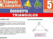 Triángulos Ejercicios para Quinto Secundaria