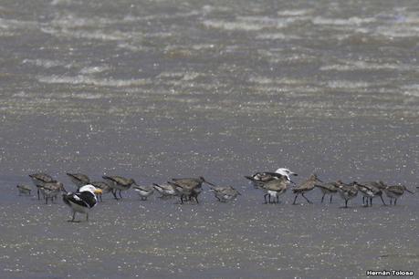 Villa 7 de marzo (diciembre 2020)