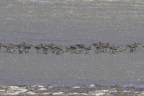 Villa 7 de marzo (diciembre 2020)