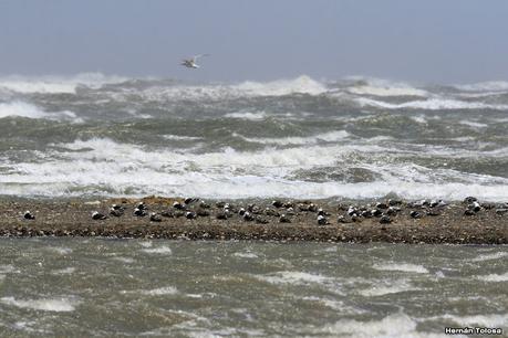 Villa 7 de marzo (diciembre 2020)