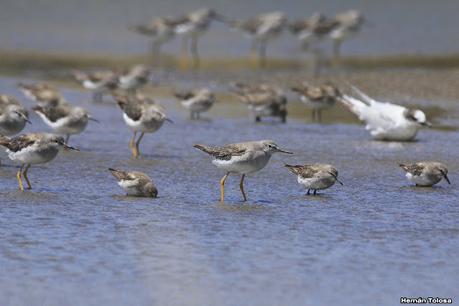 Villa 7 de marzo (diciembre 2020)