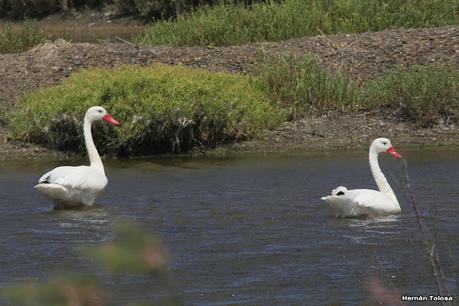 Villa 7 de marzo (diciembre 2020)