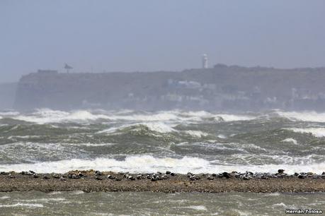 Villa 7 de marzo (diciembre 2020)