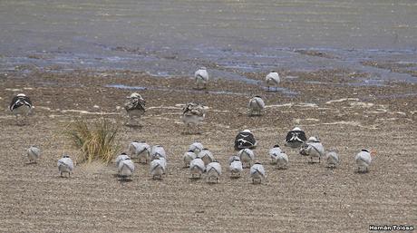 Villa 7 de marzo (diciembre 2020)